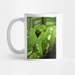 Green Tree Python Mug